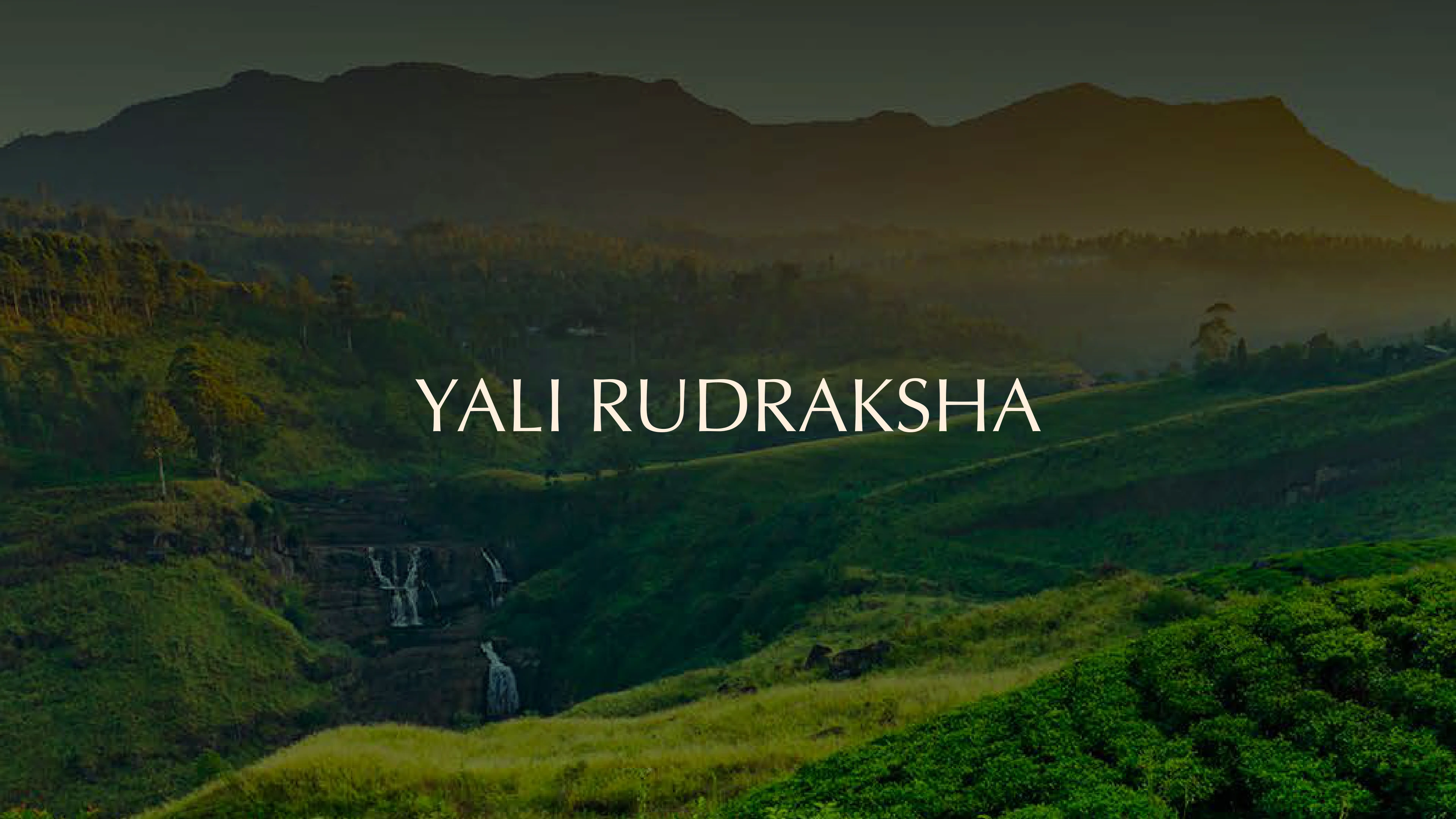 Yali Rudraksha - Nuwara Eliya, Sri Lanka
