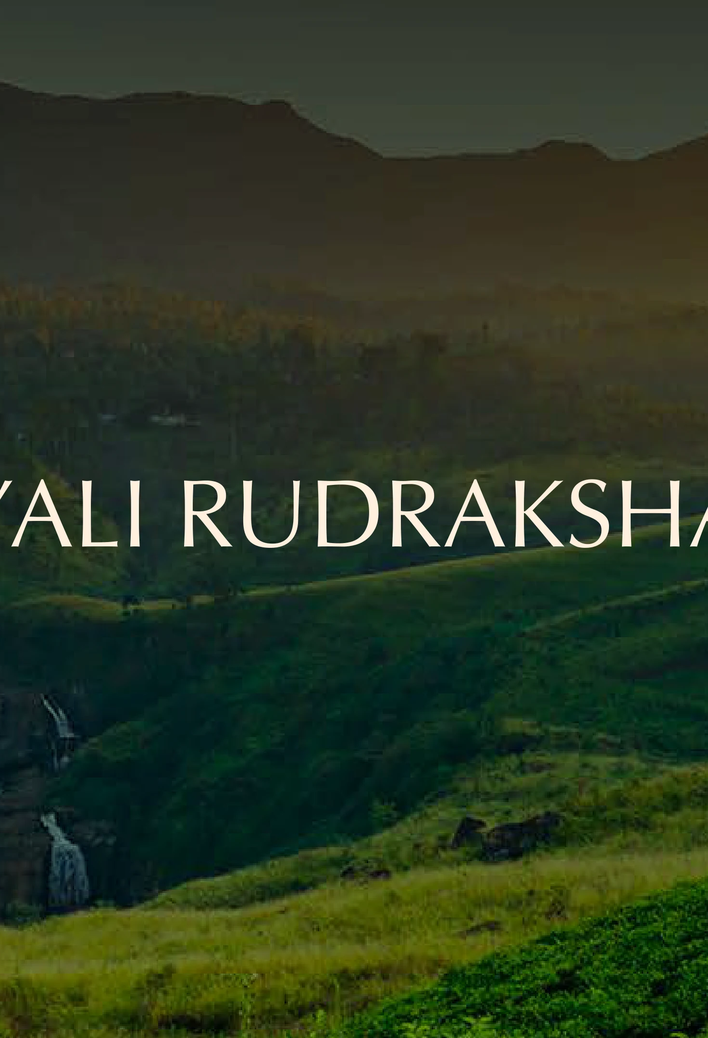 Yali Rudraksha